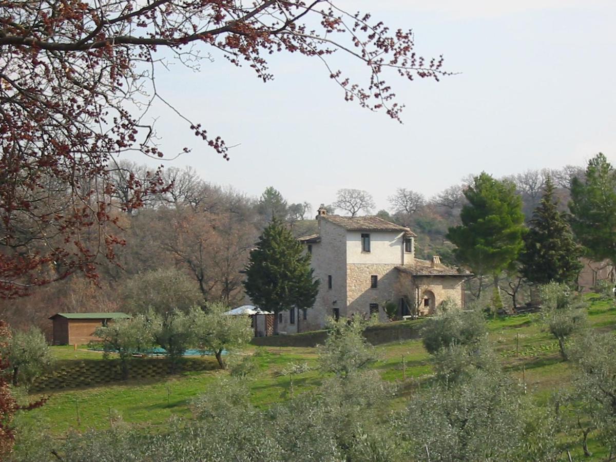 Girasole - Agriturismo Fogliani Giano dellʼUmbria Exterior foto